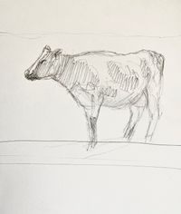 Schets koe Arkemheen | Study for painting cow | Nov 2024